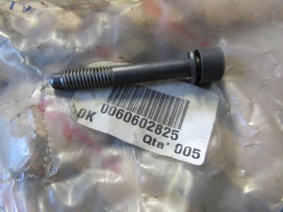 60602825 Bout met ring M8X55mm