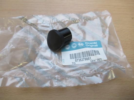 735379881 Plug deur rechter voorzijde