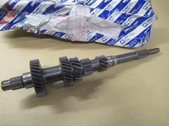 96093823 Primaire tandwielas