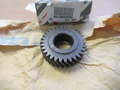 9615850680 Tandwiel