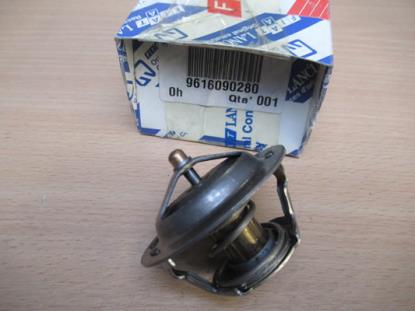 9616090280 Thermostaat