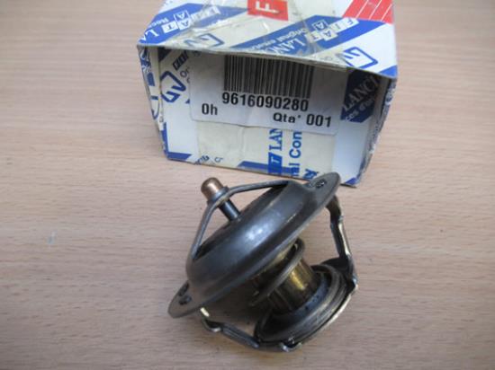 9616090280 Thermostaat