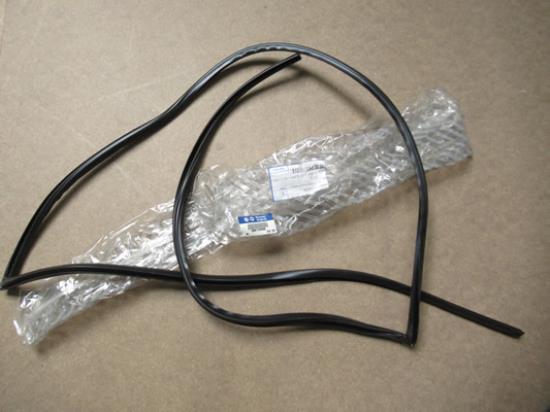 51704098 Profielrubber voorruit