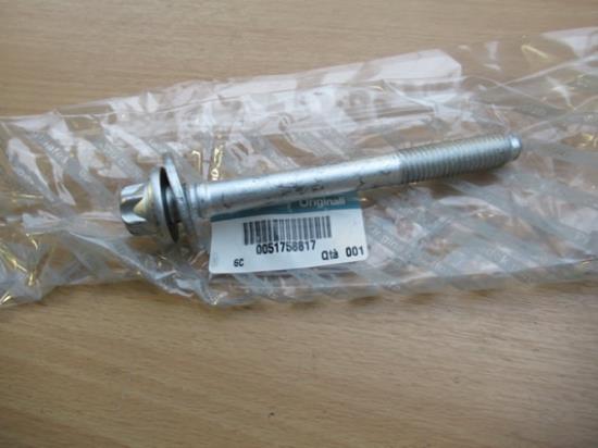 51758817 Bout M12x118