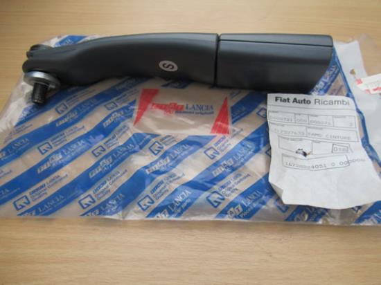 717337633 Gordeltulp linker voorzijde