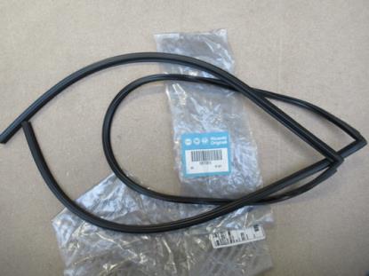 51733918 Profielrubber voorruit