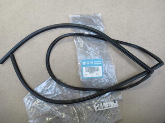 51733918 Profielrubber voorruit