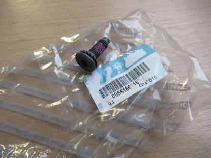 55186116 Bout met ring