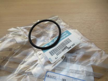 55186955 Oliekeerring