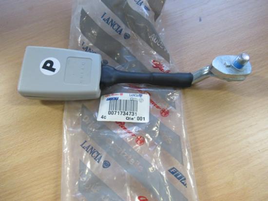 71734731 Gordeltulp rechterzijde