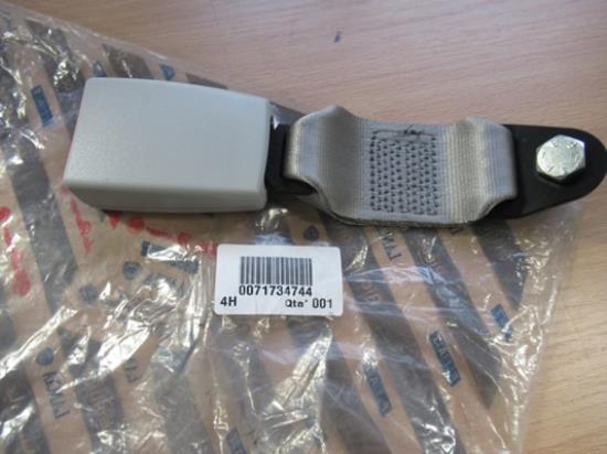 71734744 Gordeltulp rechterzijde