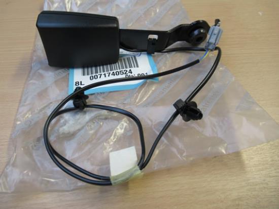 71740524 Gordeltulp rechterzijde