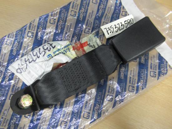 735323580 Gordeltulp midden