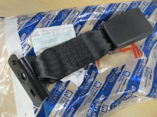 735323581 Gordeltulp midden