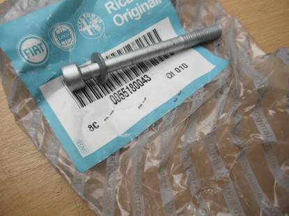 55180043 Bout met ring M8x80