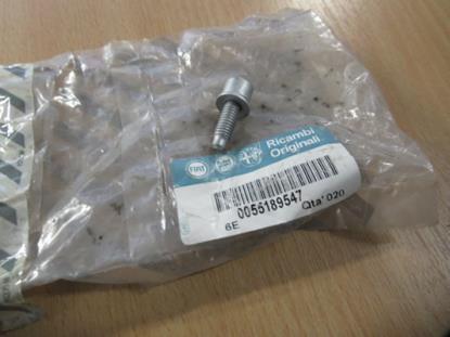 55189547 Bout met ring