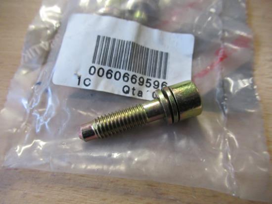 60669596 Bout met ring M8x32