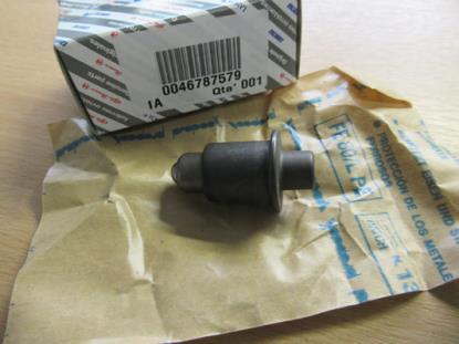 46787579 Plug