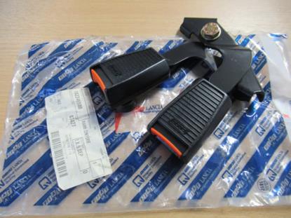 182246580 Gordeltulp set