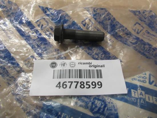 46778599 Distributie bout M12x46