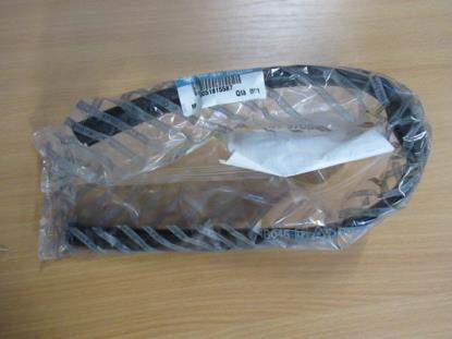 51815587 Profielrubber ruit achterklep