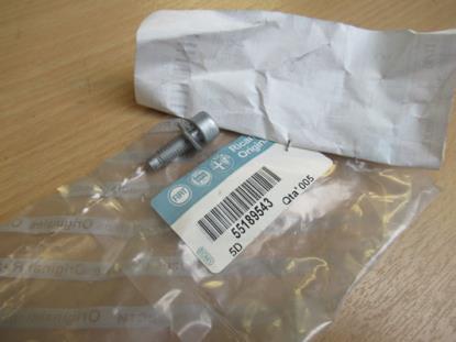 55189543 Bout met ring M6x20