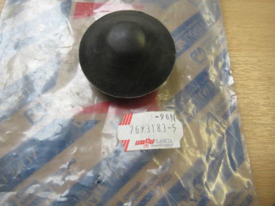 7693183 Voorvering plug