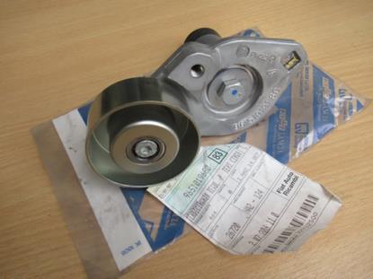 9651019680 Spanrol multiriem