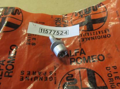 11577524 Bout met ring