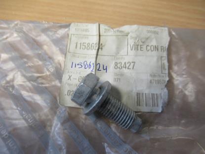 11586224 Bout met ring M10x30