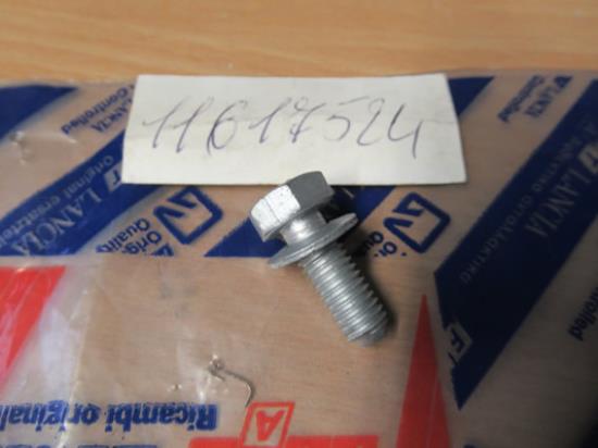 11617524 Bout met ring