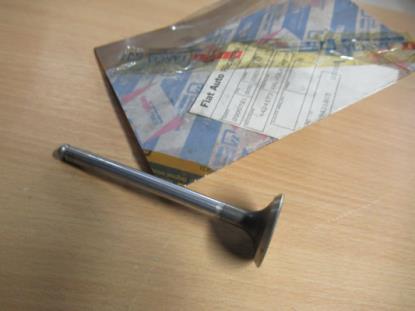 4424173 Inlaatklep diesel