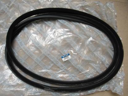 46762499 Profielrubber rechter voorzijde