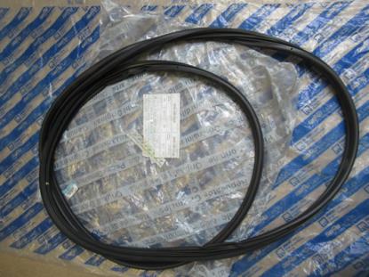 51773664 Profielrubber voorzijde