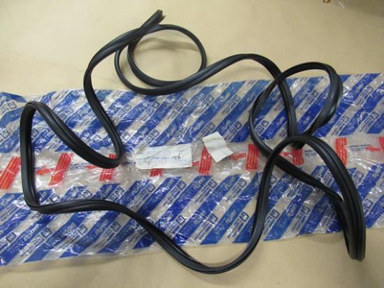 82419041 Voorruit profielrubber