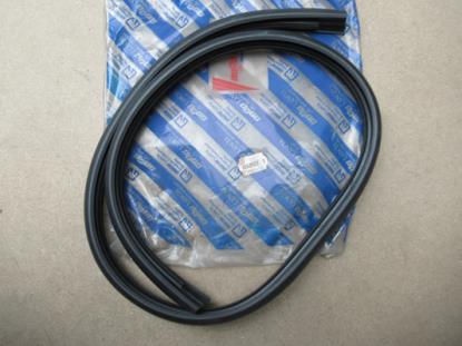 82425077 Profielrubber achterruit