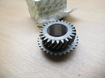 55187255 Tandwiel RAPP 25/37