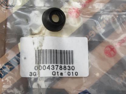 4378830 Ringmoer zijruit