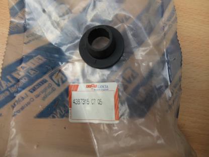 4387315 Bus radiateur