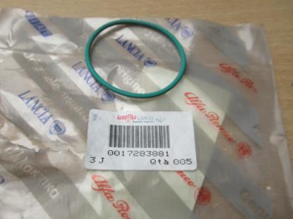 17283881 Pakking 2.62x48.90