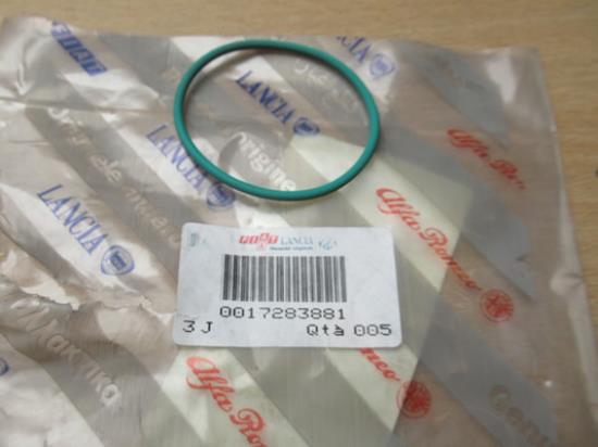 17283881 Pakking 2.62x48.90