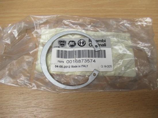 16873574 Borgring distributie