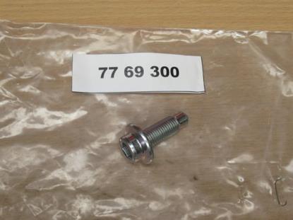 7769300 Bout portier