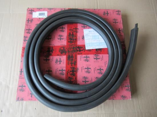 60627213 Deurrubber voorzijde links