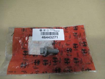 46443271 Bout met ring