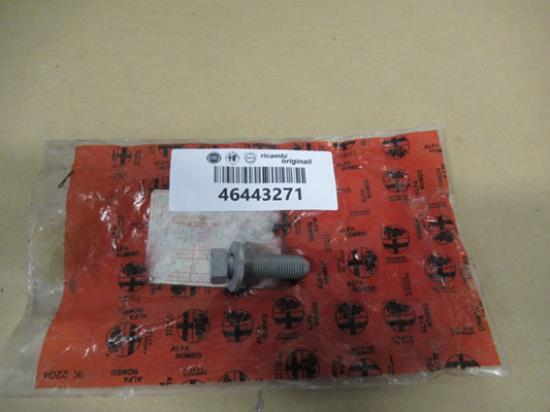 46443271 Bout met ring