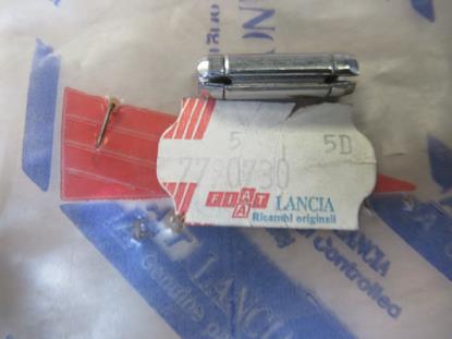 7790730 Pen voor deurvanger