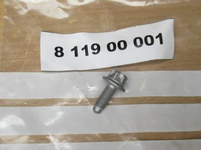 811900001 Bout M6x1x12