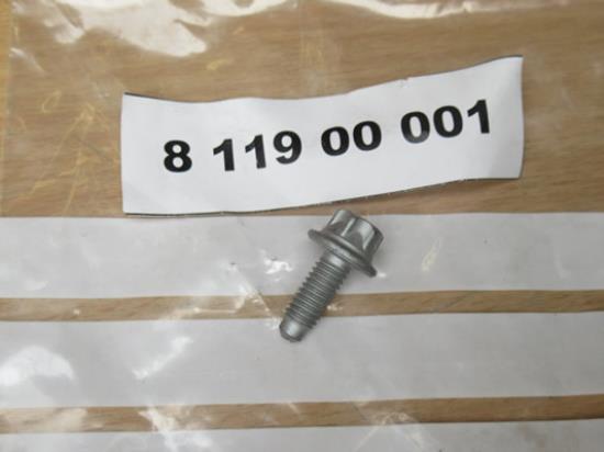 811900001 Bout M6x1x12