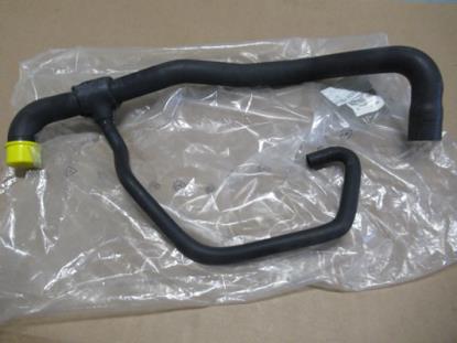 1473339080 Koelslang